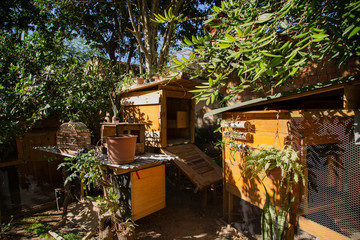 Chicken coops in a urban garden