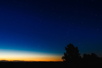Obraz na płótnie Canvas starry night sky
