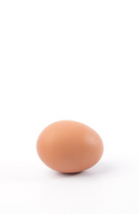 chicken egg isolated on white background