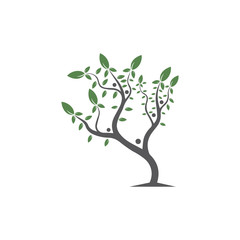 Tree Vector ,hand drawn,  illustration of  Olive tree vector design template