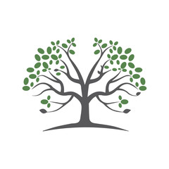 Tree Vector ,hand drawn,  illustration of  Olive tree vector design template