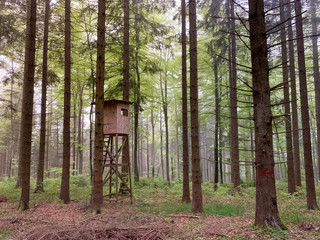 Lemberg in Baden-Württemberg bei Nebel