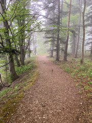 Obraz premium Lemberg in Baden-Württemberg bei Nebel