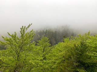 Lemberg in Baden-Württemberg bei Nebel