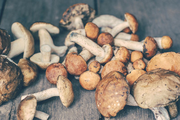 cut mushrooms on wooden boards