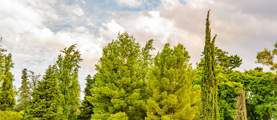 Fototapeta premium San Martin Park, Mendoza Capital, Argentina
