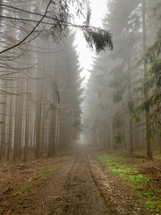 Obraz premium Lemberg in Baden-Württemberg bei Nebel