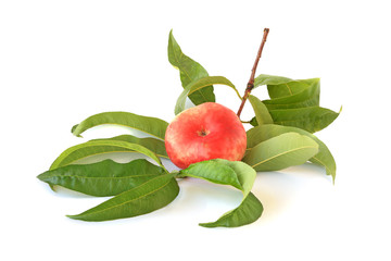 Sprig with flat fig peach isolated on white