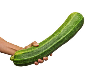 Fresh green zucchini in a female hand. Healthy vegan food. Isolated. Close-up.