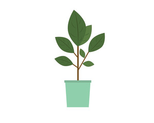Ficus tree in a pot. Interior, home comfort. Vecton icon.