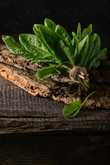  A bundle of young, fresh sorrel tied with a rope, on a very old board. Dark food photo.