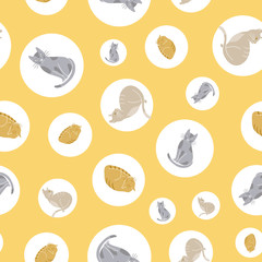 Seamless vector pattern with cats and circles on yellow background