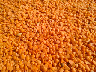 Red raw organic lentils texture. Food ingredient background. Nepal