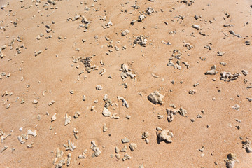 日本最南端、沖縄県波照間島・3月のニシ浜