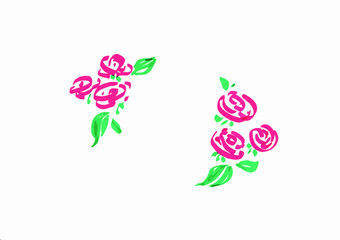Floral botanical flower. Watercolor roses isolated on white bacground.