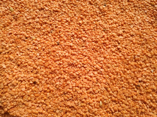 Red raw organic lentils texture. Food ingredient background. Nepal