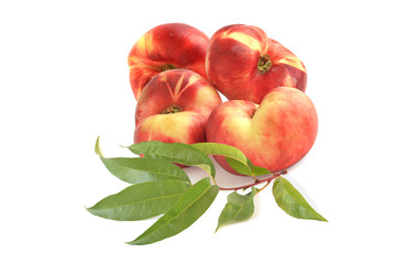 Four flat fig peaches with sprig isolated on white