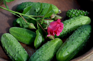 Cucumbers and rose flowers in a wooden bowl