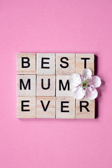 best mom ever. Happy Mother's day text on white spring flowers on pastel pink flat lay. Stylish floral greeting card. Happy mothers day. Spring snowflake, blooming flowers border