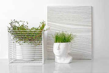 Grass growing in a head planter