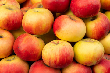Apples, Malus domestica, an edible fruit produced by an apple tree, are displayed for sale at New Market area, Kolkata, West Bengal, India.