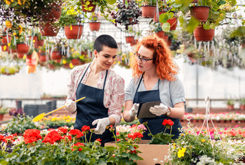 Two female florists working with flowers in a greenhouse, preparing online orders using a tablet.