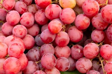 Aalu bhukhara fruits or plum fruits, genus Prunus, are being sold in New Market area, Kolkata, West Bengal, India.