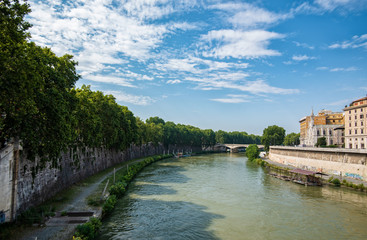 Fototapeta na wymiar Vista del rio Tiber en Roma, Italia