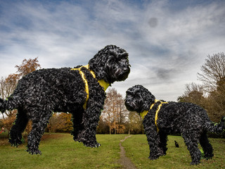 IN THE PARK NO PEOPLE 