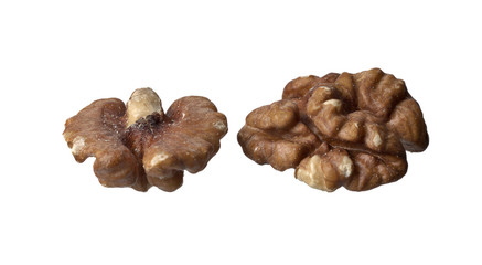 Peeled walnut on a white background