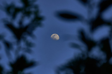 luna