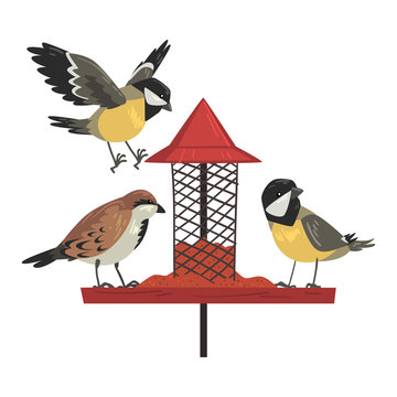 Winter Bird Feeder with Cute Titmouses and Sparrows, Northern Birds Feeding by Seeds in Wooden Feeder Vector Illustration