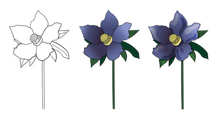 Set of vector illustration of flowers. Helleborus flowers on a white background. Floral element in blue. Can be used for printing, websites, textiles, wrapping paper, textiles, design.