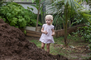 Candid portrait of an adorable little toddler girl playing with the soil in the organic vegetable garden