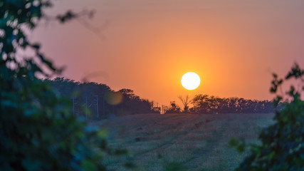 Beautiful Sunset. Sun disk over the green field. Summer evening in Blagoveshenskaya. Anapa, Russia.