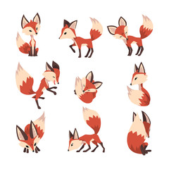 Adorable Little Fox Collection, Cute Fluffy Wild Forest Animal Cartoon Character in Various Poses Vector Illustration