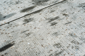 dry light board in raindrops and white petals