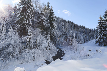 Fototapeta na wymiar a beautiful snowy mountain landscape in the Carpathians, a mountain winter river