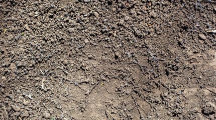 stone wall texture