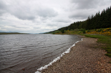 Fototapeta na wymiar Large lake in the forest