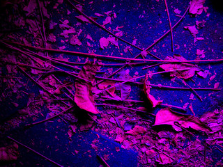 abstract grunge background with grunge effect