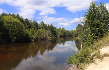 Fototapeta na wymiar a small river flows among the greenery of Russia