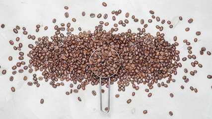 coffee beans on a white background with copy space for your text
