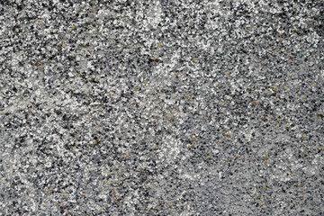 Concrete surface with various small inclusions.