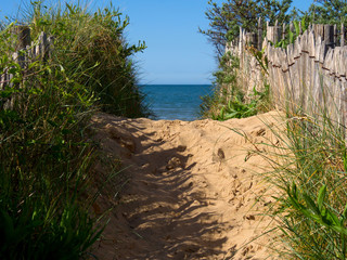 A sand road leading to the beach next to a wooden fence separating greenery from the beach, in the background the sea, beach and blue sky