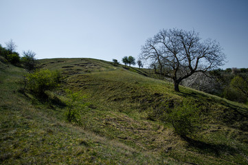 green hills