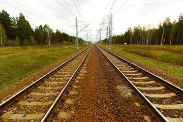 Obraz premium Railroad tracks going into the distance against the background of the forest and electric supports