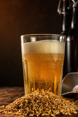 Glass of homemade beer on a wooden table. Glass of craft beer on a dark background.