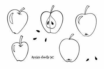 Vector Apples clipart set. Doodle sketch illustration. Whole apple, half apple and seeds. Perfect for packaging eco products, scrapbooking, party design, logo, wrapping, logo