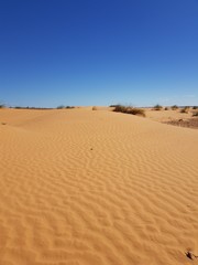 Désert